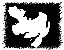 a100.jpg (120217 bytes)